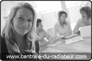 Centrale du radiateur